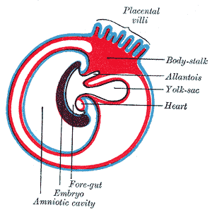 Fig. 27
