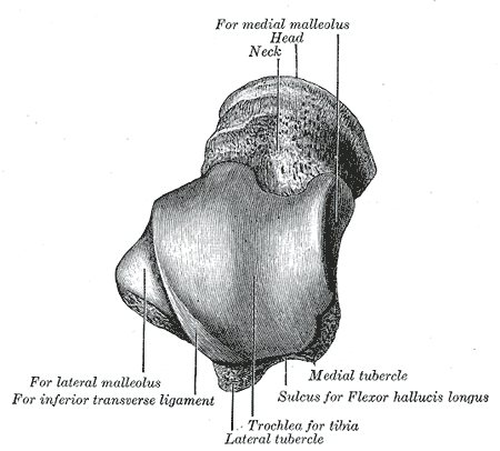 Fig. 270