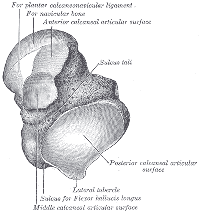Fig. 271