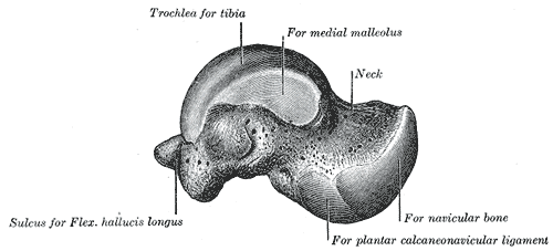 Fig. 272