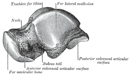 Fig. 273