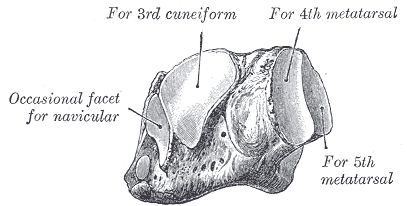 Fig. 274