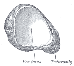 Fig. 277