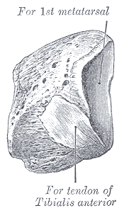 Fig. 278