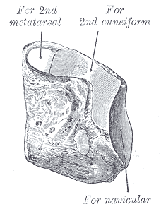 Fig. 279