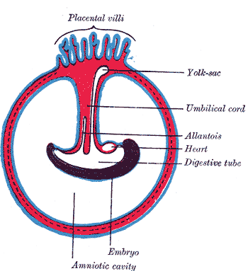 Fig. 28