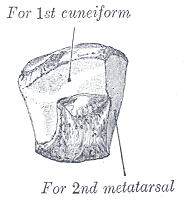 Fig. 280