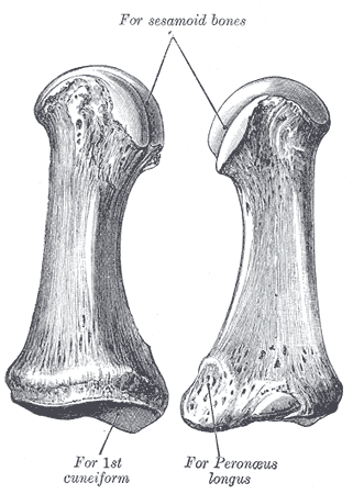 Fig. 284
