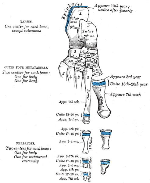 Fig. 289