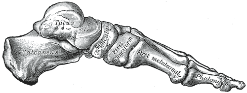Fig. 290