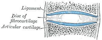 Fig. 298