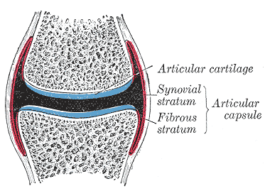 Fig. 299