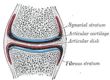 Fig. 300