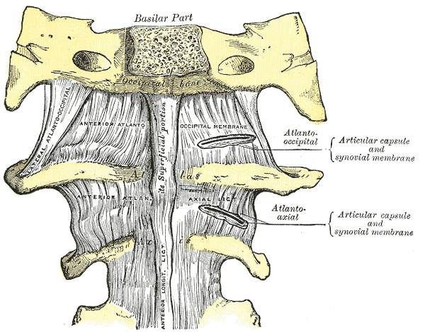 Fig. 304