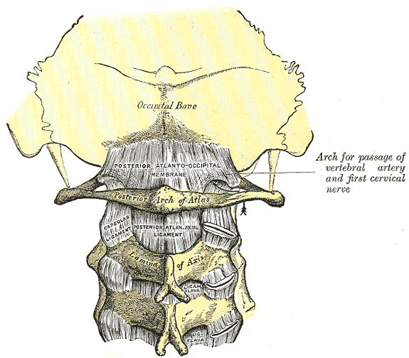 Fig. 305