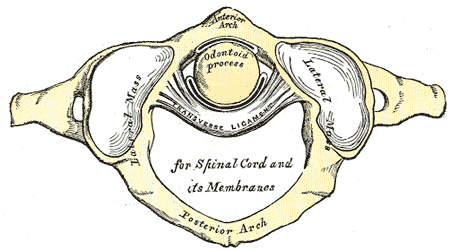 Fig. 306