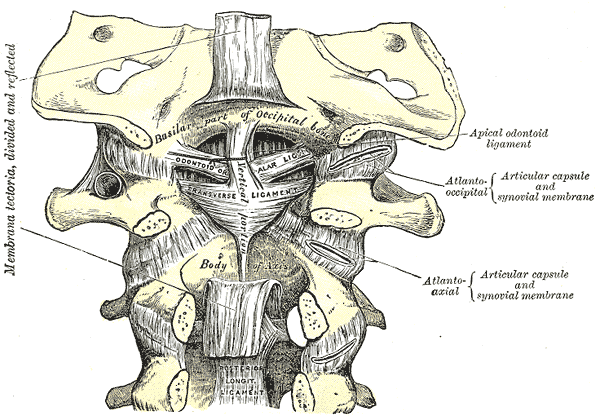 Fig. 307