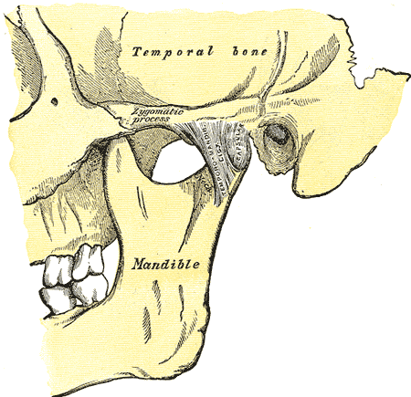 Fig. 309