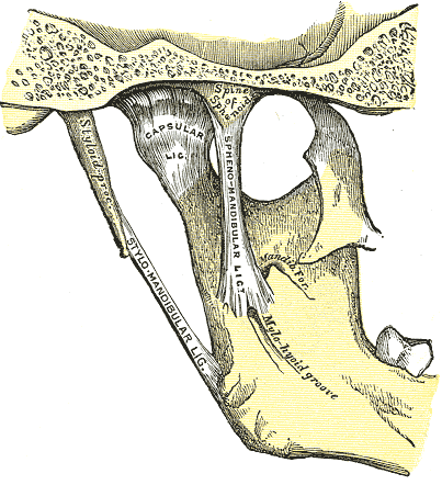 Fig. 310