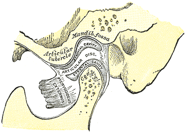Fig. 311