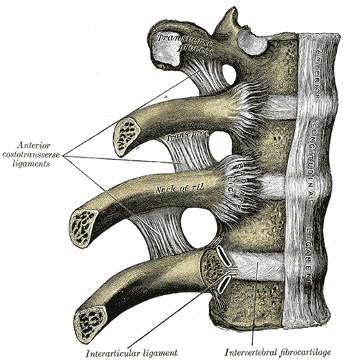Fig. 312