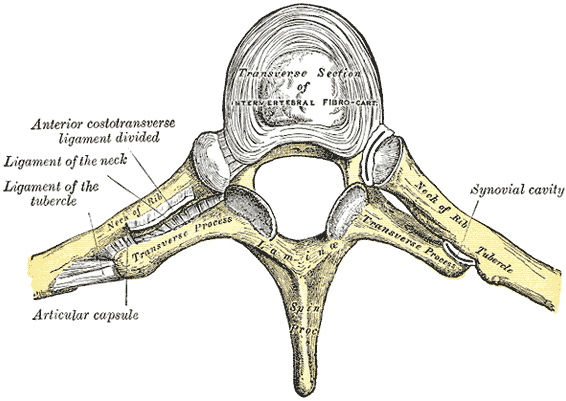 Fig. 313