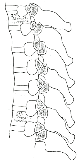 Fig. 314