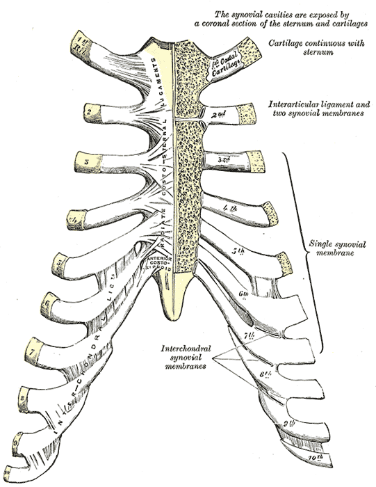 Fig. 315