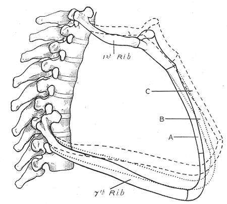 Fig. 316