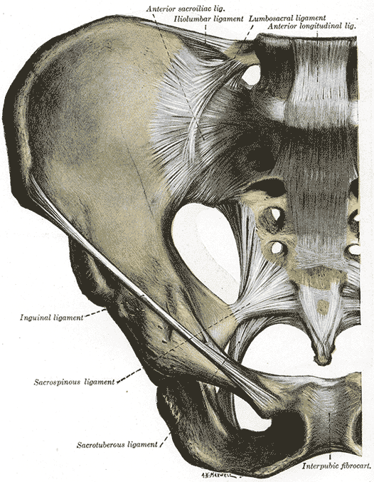 Fig. 319