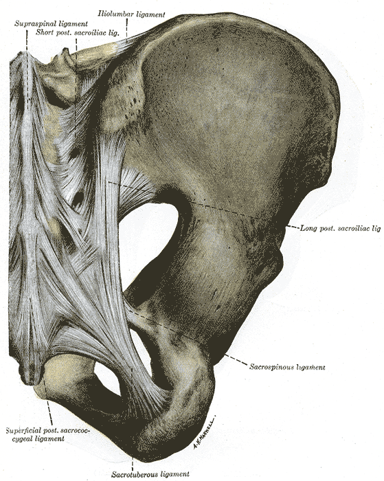 Fig. 320
