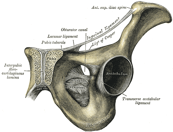 Fig. 321