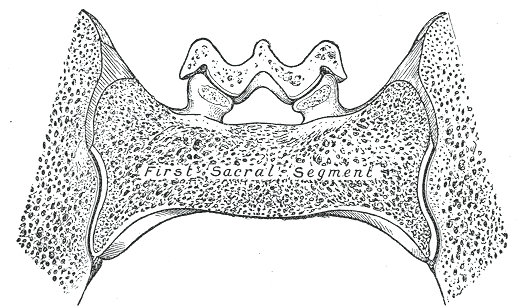 Fig. 322