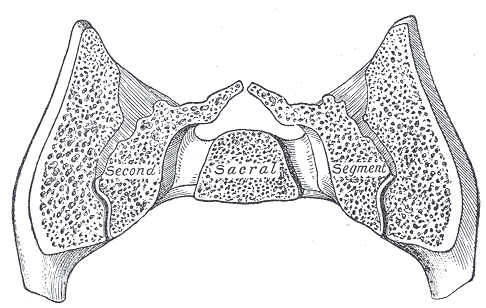 Fig. 323