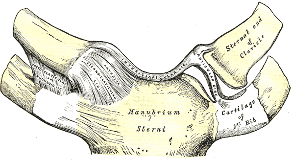 Fig. 325