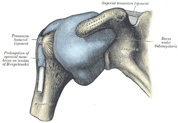 Fig. 327