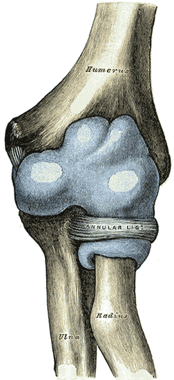 Fig. 331