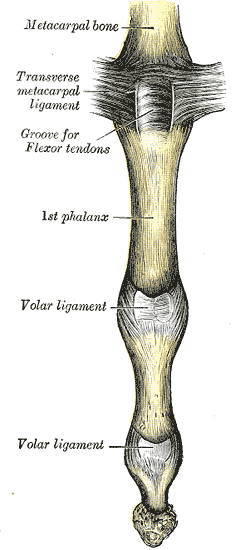 Fig. 337