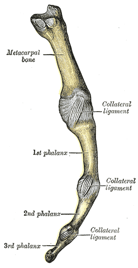 Fig. 338