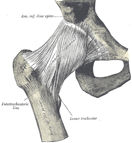 Fig. 339