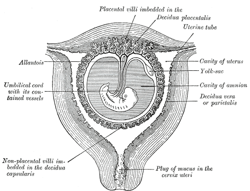 Fig. 34