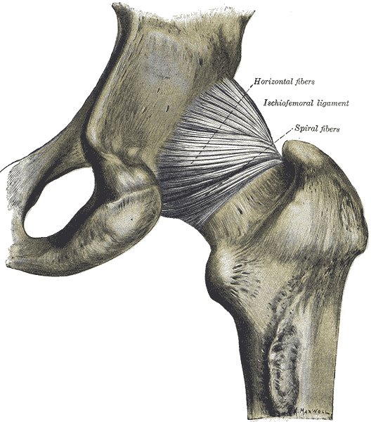 Fig. 340
