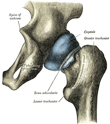 Fig. 343