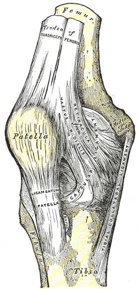 Fig. 345