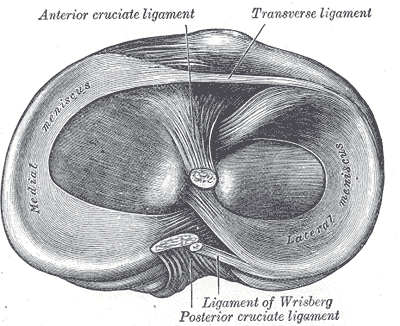 Fig. 349