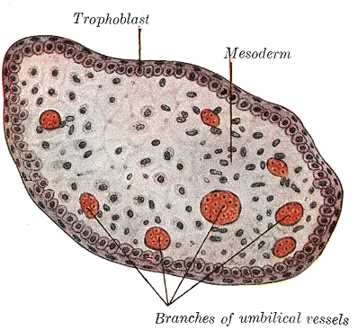 Fig. 35