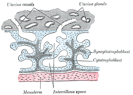 Fig. 36