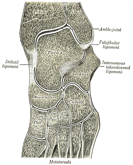 Fig. 360