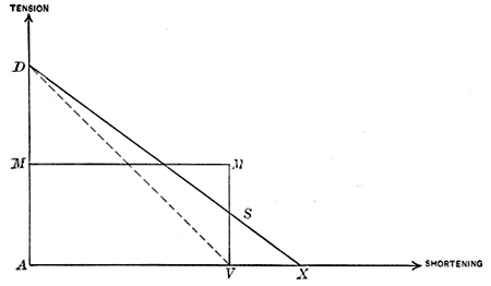 Fig. 366