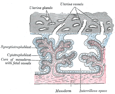 Fig. 37
